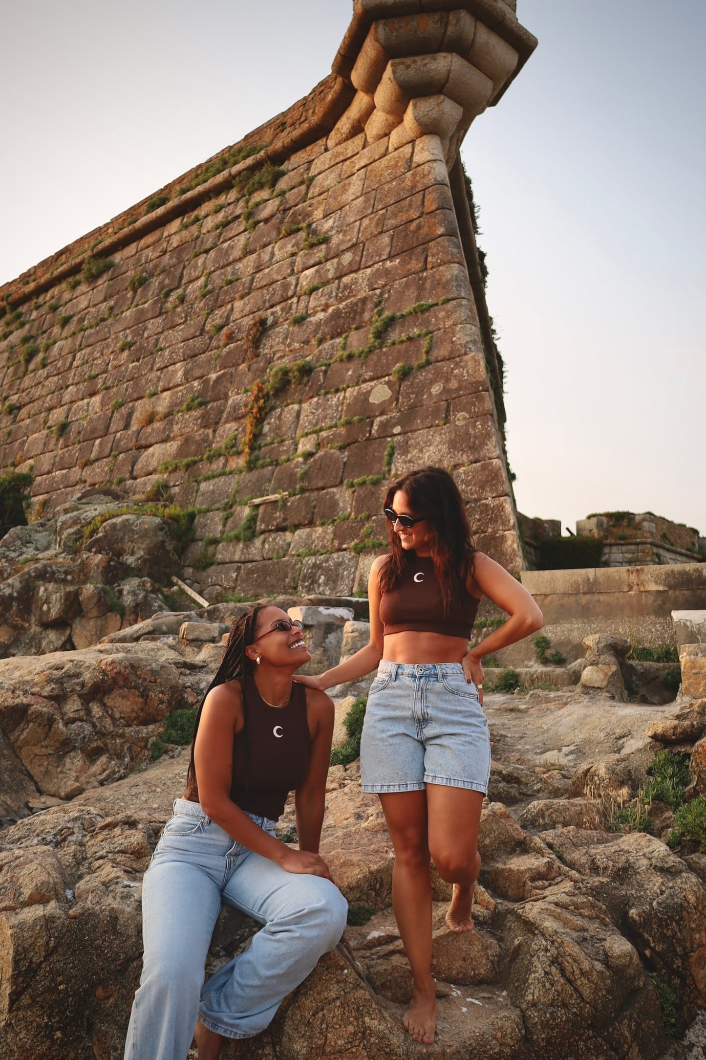 Brown Salty Crop Top